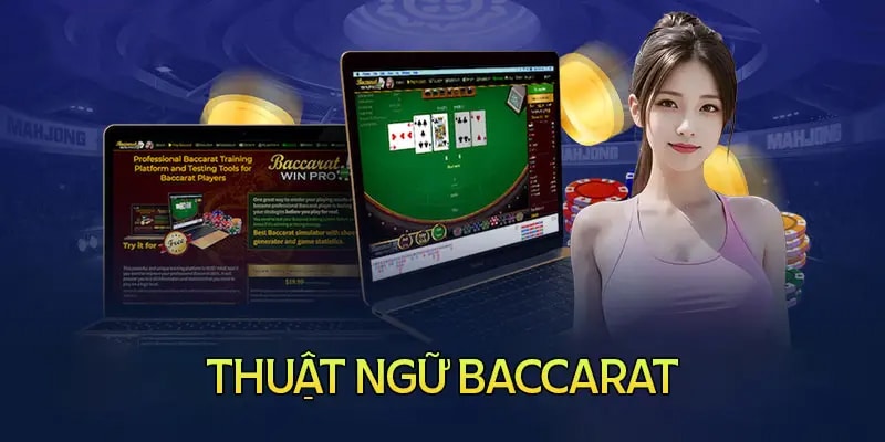 Khám phá các thuật ngữ Baccarat phong phú